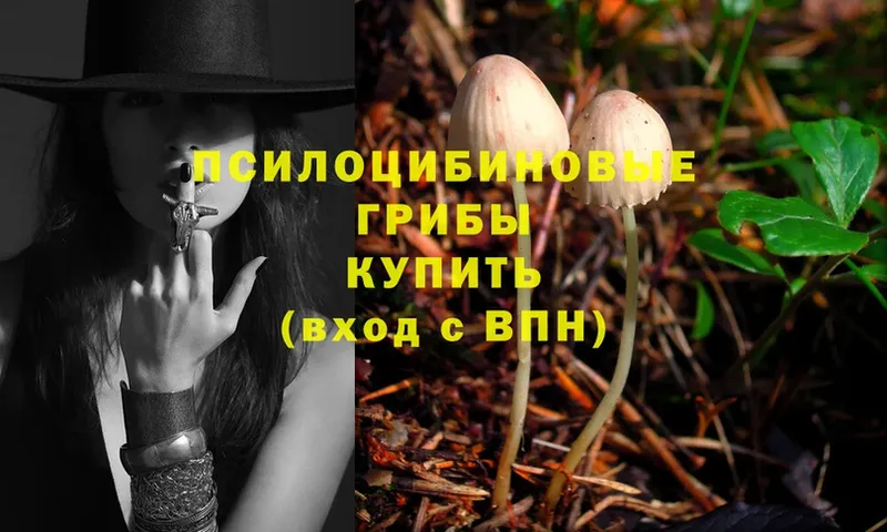 Псилоцибиновые грибы MAGIC MUSHROOMS  Алатырь 